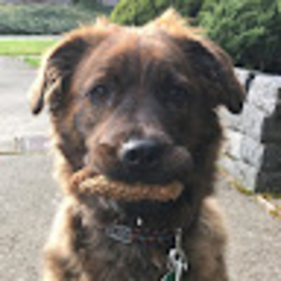 Meet your Posher, Czdy - Picture 1 of 1
